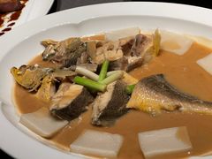 -子福慧(虹桥店)