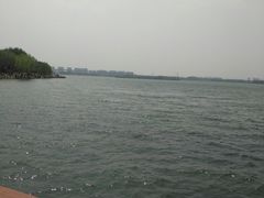 -丁香湖公园