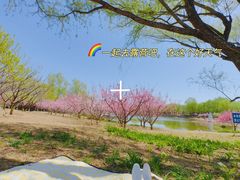 -永定河休闲森林公园