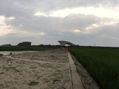 -南汇嘴观海公园