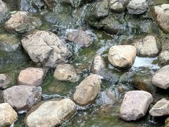 -白塘生态植物园