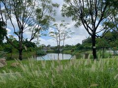 -王借岗森林公园