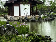 -江心屿景区
