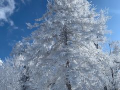 -中旅松花湖滑雪场