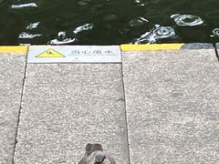 -静安公园(静安寺街道)