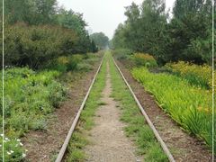 -永定河休闲森林公园