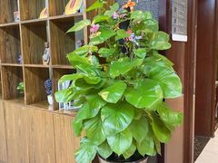 -长春宾馆·丽豪浴都