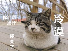 -八大关景区