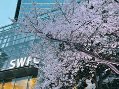 -ABC Cooking Studio(上海环球金融中心店)