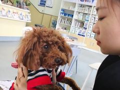 -宠颐生维康宠物医院(金丰店)