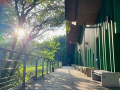 -西湖风景区-江洋畈生态公园