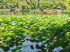 -承德避暑山庄景区