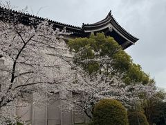-东京国立博物馆