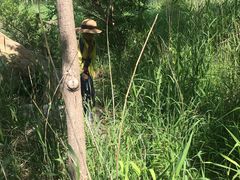 -碓臼峪自然风景区