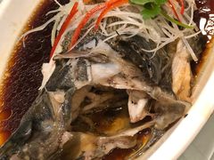 -金蝉食府(维吉奥广场店)