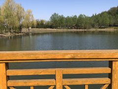 -东郊湿地公园