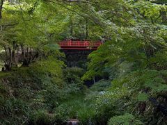 -三千院