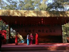 -北海金海湾红树林生态旅游区