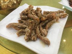 椒盐濑尿虾-鸿达渔港