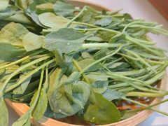 -超级胡毛肚火锅(茶子山中路店)