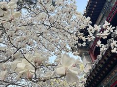 -潭柘寺景区