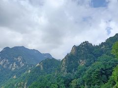 -王顺山国家森林公园