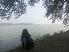 -武汉大学-樱园