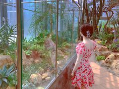 -国家植物园南园