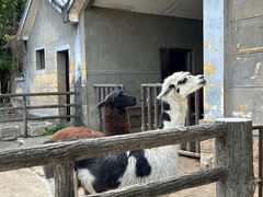 -昆明动物园