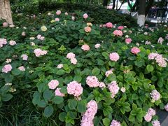 -常州古运河南大街文化旅游区-人民公园