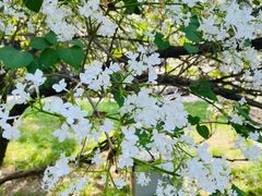 -北京植物园南门售票处