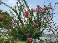 -南京金牛湖风景区