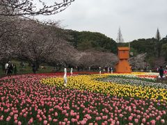 -苏州上方山国家森林公园