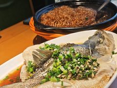 -大鸽饭(马王堆店)