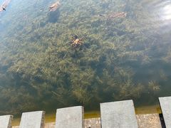 -宜兴龙背山森林公园