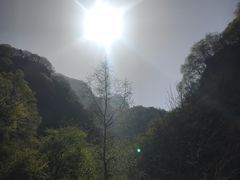 -陕西省红河谷森林公园