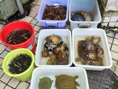 -西双版纳集贸市场