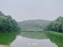 -李小龙乐园(顺德均安店)