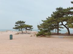 景点-老虎石海上公园