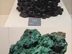 -安徽省地质博物馆