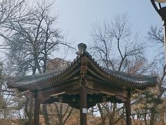 -元大都城垣遗址公园