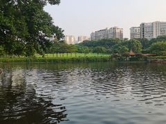 -深圳龙潭公园