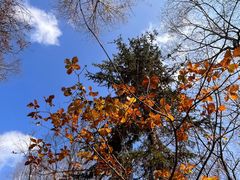 -道须沟旅游风景区