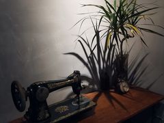 -时光花园(白鹭洲店)