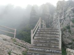 -牛背梁国家森林公园