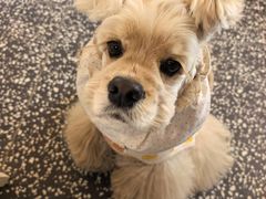 -小意思咖啡店(草桥店)