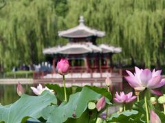-陶然亭公园