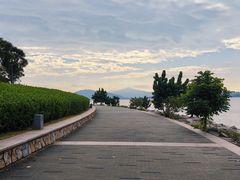 -深圳湾公园(南山区)