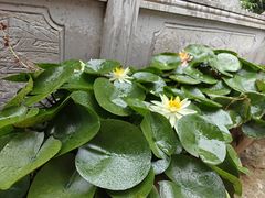 -抚仙湖禄充风景区