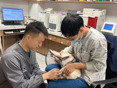 -北京派仕佳德动物医院·超导核磁·CT·神经科·骨科·内外科·急重症管理中心